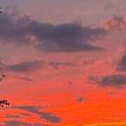 ヒメ日記 2025/11/05 22:08 投稿 川島まりん 五十路マダム金沢店