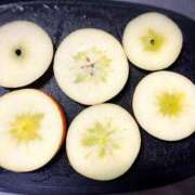 ヒメ日記 2025/11/26 07:50 投稿 川島まりん 五十路マダム金沢店