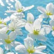 ヒメ日記 2025/11/30 08:54 投稿 川島まりん 五十路マダム金沢店