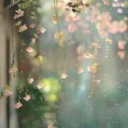 ヒメ日記 2025/12/09 06:22 投稿 川島まりん 五十路マダム金沢店