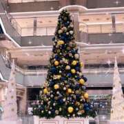 ヒメ日記 2025/12/12 06:58 投稿 川島まりん 五十路マダム金沢店