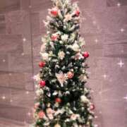 ヒメ日記 2025/12/15 07:28 投稿 川島まりん 五十路マダム金沢店