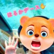 ヒメ日記 2025/09/04 02:34 投稿 はるか 鹿児島人妻 楊貴妃