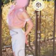 ヒメ日記 2026/03/08 14:15 投稿 はるか 鹿児島人妻 楊貴妃