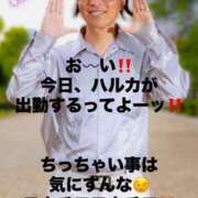ヒメ日記 2026/06/14 14:14 投稿 はるか 鹿児島人妻 楊貴妃