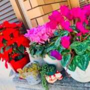 ヒメ日記 2025/01/17 22:44 投稿 不二子 PLUS難波店