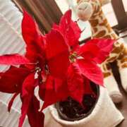 ヒメ日記 2025/02/03 22:54 投稿 不二子 PLUS難波店