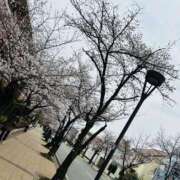 ヒメ日記 2025/04/02 09:24 投稿 不二子 PLUS難波店