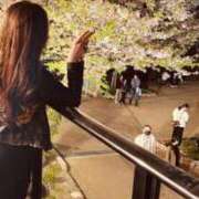 ヒメ日記 2025/04/09 21:14 投稿 不二子 PLUS難波店