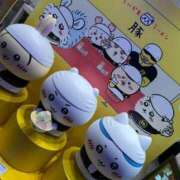 ヒメ日記 2025/04/13 10:05 投稿 不二子 PLUS難波店