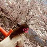 ヒメ日記 2025/04/14 15:44 投稿 不二子 PLUS難波店