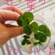 ヒメ日記 2025/04/26 19:34 投稿 不二子 PLUS難波店