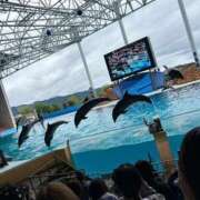 ヒメ日記 2025/06/17 11:34 投稿 不二子 PLUS難波店