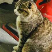 ヒメ日記 2026/04/05 16:54 投稿 不二子 PLUS難波店