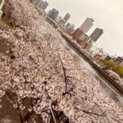 ヒメ日記 2026/04/07 09:54 投稿 不二子 PLUS難波店