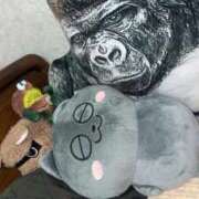 ヒメ日記 2026/04/12 09:44 投稿 不二子 PLUS難波店