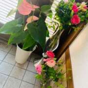 ヒメ日記 2026/05/01 07:34 投稿 不二子 PLUS難波店