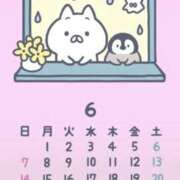 不二子 お知らせ PLUS難波店