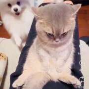 ヒメ日記 2026/10/05 08:44 投稿 不二子 PLUS難波店
