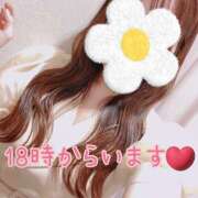 ヒメ日記 2025/06/15 18:23 投稿 ＊なつみ＊ Cheers(チアーズ)