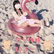 ヒメ日記 2025/09/20 17:06 投稿 ＊なつみ＊ Cheers(チアーズ)