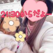 ヒメ日記 2026/02/11 21:13 投稿 ＊なつみ＊ Cheers(チアーズ)