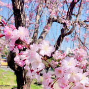 ヒメ日記 2026/04/05 14:32 投稿 ＊なつみ＊ Cheers(チアーズ)