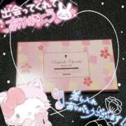 ヒメ日記 2025/05/08 21:00 投稿 ゆき 世界のあんぷり亭 町田店