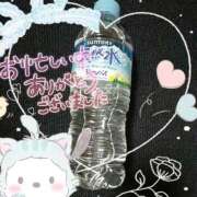 ヒメ日記 2025/05/21 00:00 投稿 ゆき 世界のあんぷり亭 町田店