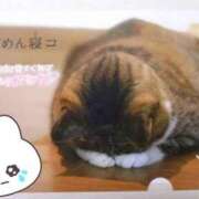 ヒメ日記 2025/05/21 12:00 投稿 ゆき 世界のあんぷり亭 町田店