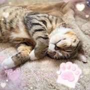 ヒメ日記 2025/06/19 20:59 投稿 ゆき 世界のあんぷり亭 町田店