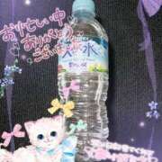 ヒメ日記 2025/06/25 00:00 投稿 ゆき 世界のあんぷり亭 町田店