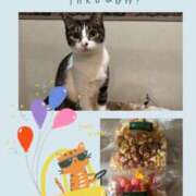 ヒメ日記 2025/01/31 07:42 投稿 桐島　杏璃 スッキリ商事