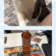 ヒメ日記 2025/03/11 20:39 投稿 桐島　杏璃 スッキリ商事