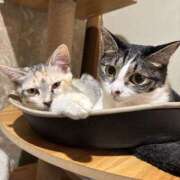 ヒメ日記 2025/09/01 17:47 投稿 桐島　杏璃 スッキリ商事