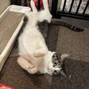 ヒメ日記 2025/09/12 17:55 投稿 桐島　杏璃 スッキリ商事