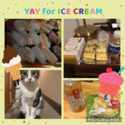 ヒメ日記 2026/01/11 22:19 投稿 桐島　杏璃 スッキリ商事