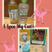 ヒメ日記 2026/02/25 08:24 投稿 桐島　杏璃 スッキリ商事