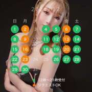 ヒメ日記 2024/12/12 06:51 投稿 鮎川　つばさ 白夜