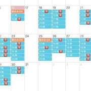 ヒメ日記 2024/12/16 09:55 投稿 鮎川　つばさ 白夜