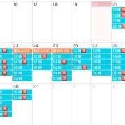 ヒメ日記 2024/12/20 11:16 投稿 鮎川　つばさ 白夜