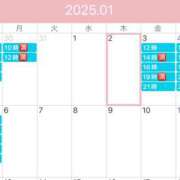 ヒメ日記 2025/01/01 11:06 投稿 鮎川　つばさ 白夜