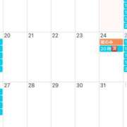 ヒメ日記 2025/01/17 09:19 投稿 鮎川　つばさ 白夜