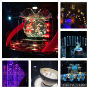 ヒメ日記 2025/05/09 21:22 投稿 鮎川　つばさ 白夜