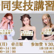 ヒメ日記 2025/06/12 08:21 投稿 鮎川　つばさ 白夜