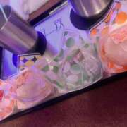 ヒメ日記 2025/09/27 14:22 投稿 鮎川　つばさ 白夜