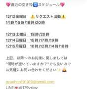 ヒメ日記 2025/12/12 08:10 投稿 鮎川　つばさ 白夜