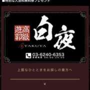 ヒメ日記 2026/03/16 07:55 投稿 鮎川　つばさ 白夜