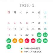 ヒメ日記 2026/05/15 09:45 投稿 鮎川　つばさ 白夜