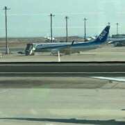 ヒメ日記 2025/10/14 06:53 投稿 新山　ナオ 白夜